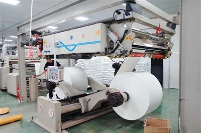PE Coated Paper Cup Bottom Roll